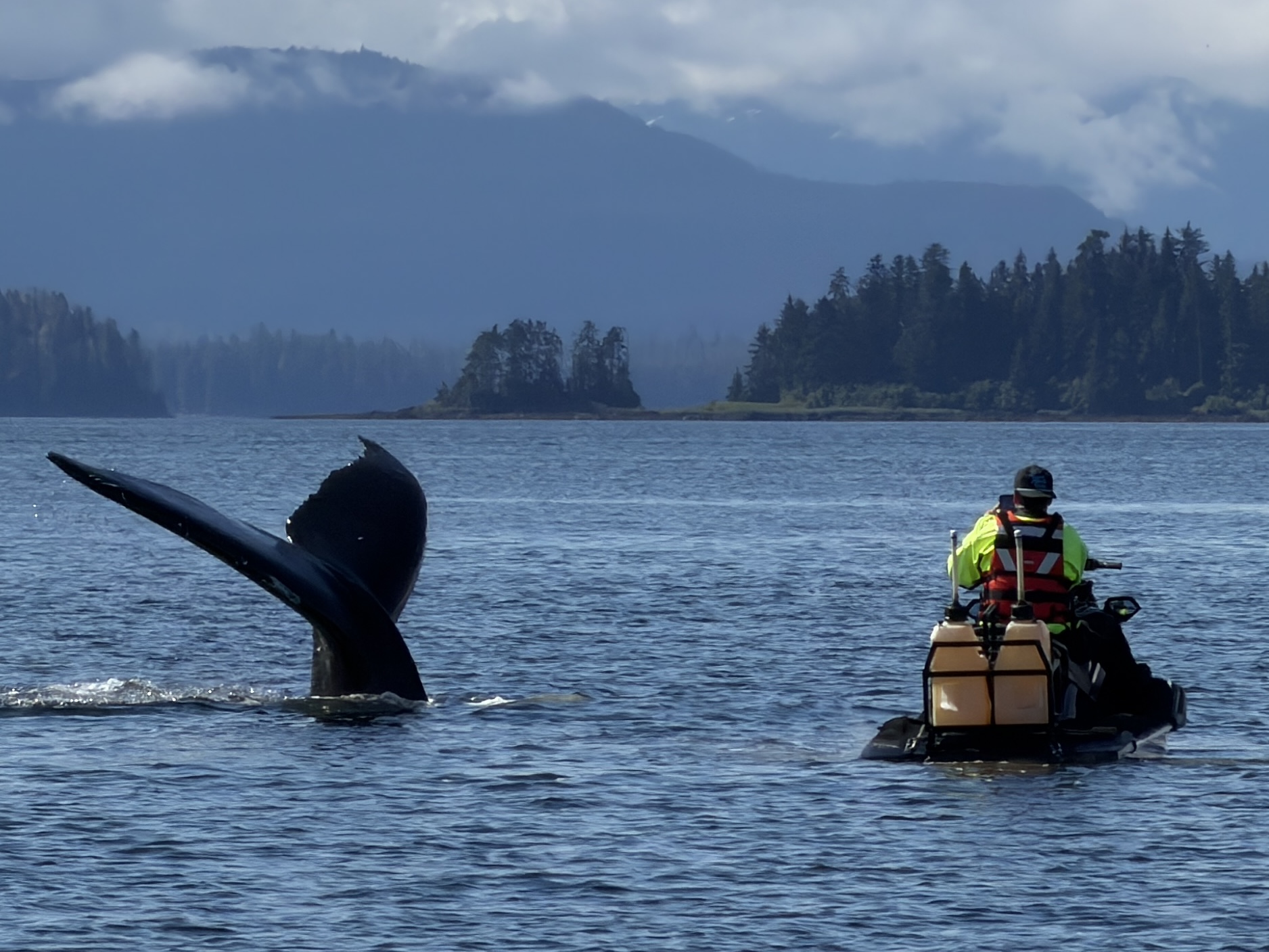 Jet ski rider watching a humpback whale tail in Southeast Alaska